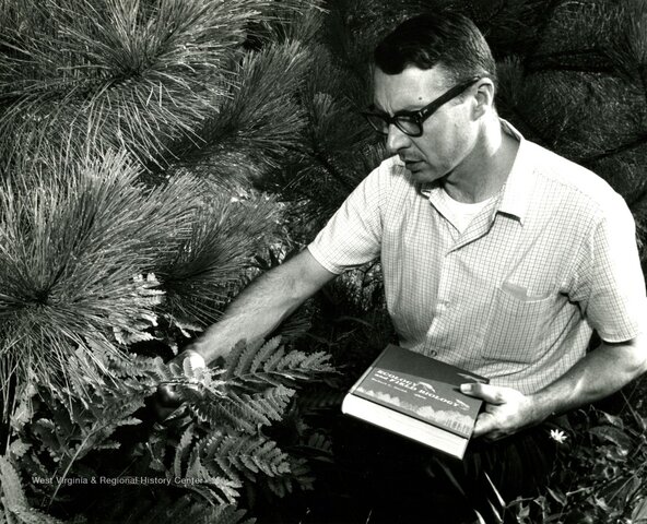 Robert Leo Smith y Thomas Smith