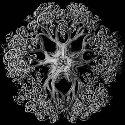 Timeline: Línea de tiempo de la Ecología