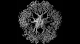 Timeline: Línea de tiempo de la Ecología