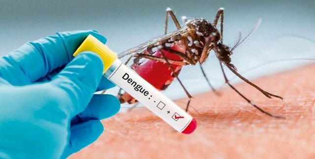 Dengue