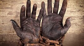 Timeline: Un largo camino para tener derechos