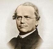 GREGOR MENDEL