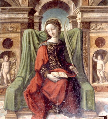 Estudio de la naturaleza en las artes