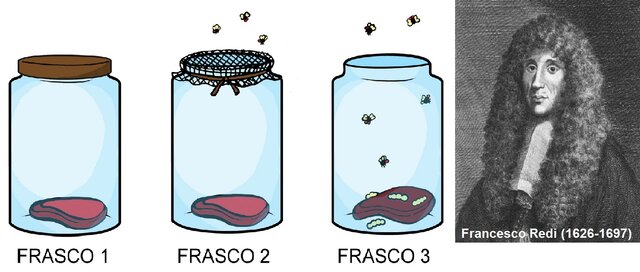 Francesco Redi y la Generación Espontánea