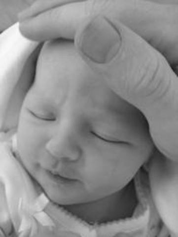 Theodor Seuss Geisel was born.