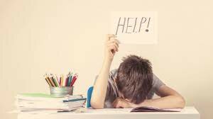 FASE DE INTEGRACIÓN.(1963-1980)