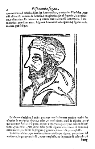 Anatomía del Ingenio