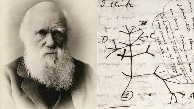 Darwin publica "El origen de las especies"