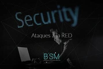 Primeros ataques a través de internet >>Protección de la red