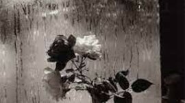 Timeline: Poesía de la segunda mitad del siglo XIX