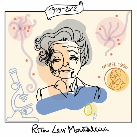 Rita Levi Montalcini