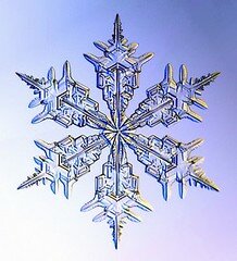 Geometria Fractal
