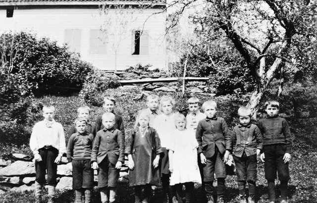 innføringen av nynorsk