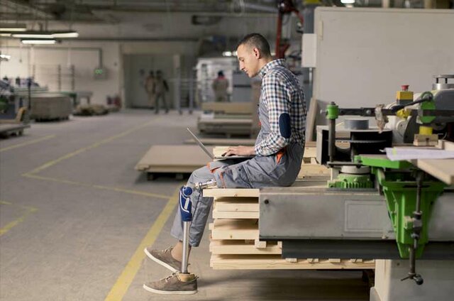 La normalización de la discapacidad