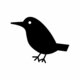 Bird glyph vector icon graphics 1 11 580x386