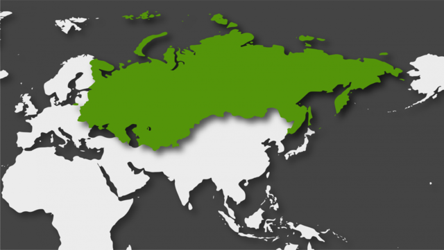 Russia surt del conflicte