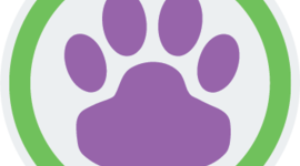 Timeline: A Timeline of Groomer's Choice