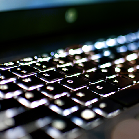 Groomer's Choice Goes Digital