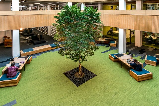 Graduação em Biblioteconomia e início na Universidade de Lancaster