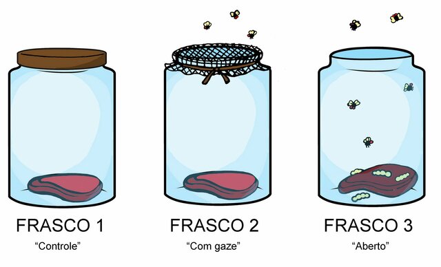Teoría generación espontanea - Francesco Redi