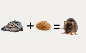 Van Helmont y los ratones