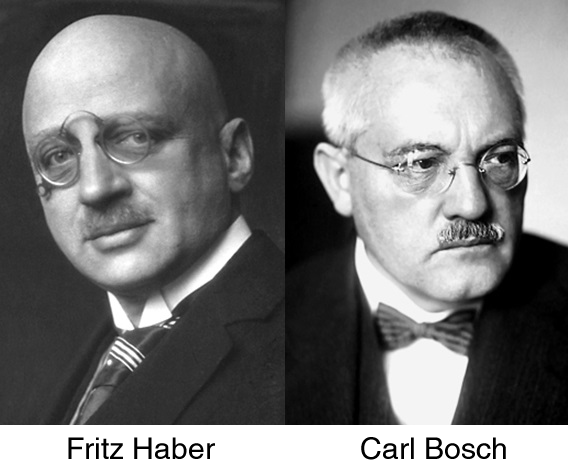 Haber y Bosch alimentan a media humanidad