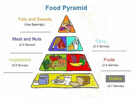 The Food Guide Pyramid