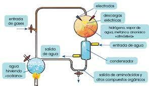 Aleksander Oparin (Teoría de la evolución química)