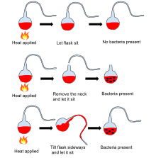 Refutación de la generación espontanea por Louis Pasteur