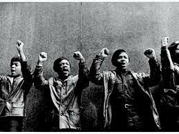 Urban Problems and the Black Panthers