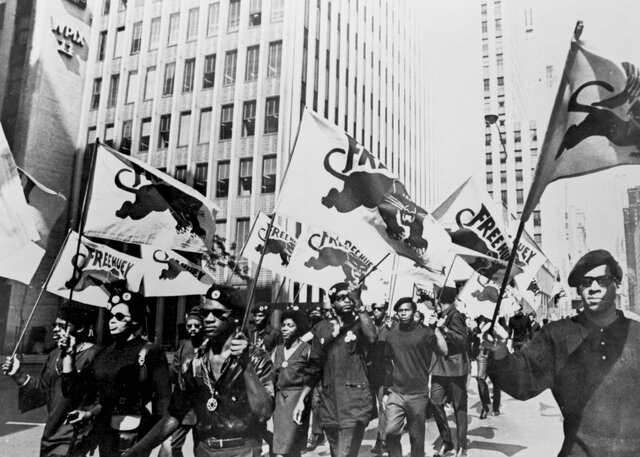 Urban Problems and the Black Panthers