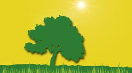 Timeline: ECOLOGIA