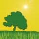 Ecologia