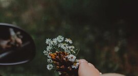 Timeline: what i  have been doing when