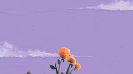 Timeline: What i have been doing when