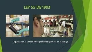 Ley 55 de 1993