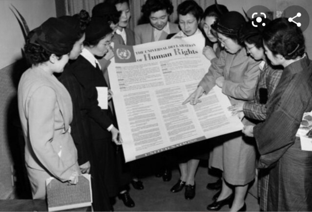 La Declaración Universal de los derechos humanos (DUDH)