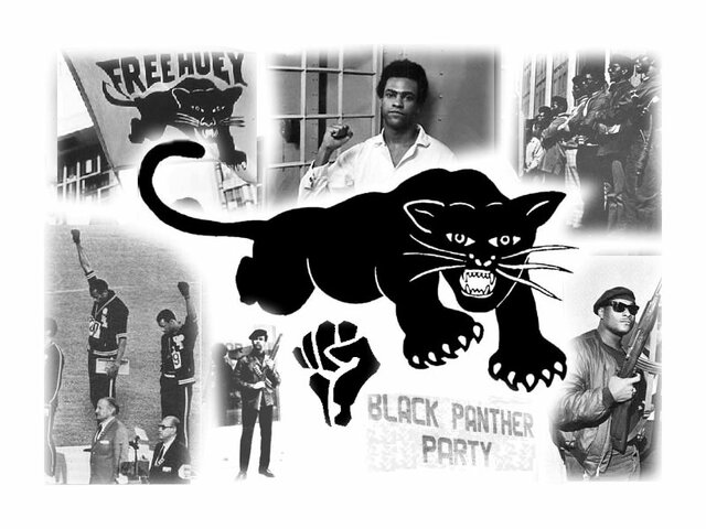 Urban Problems and the Black Panthers