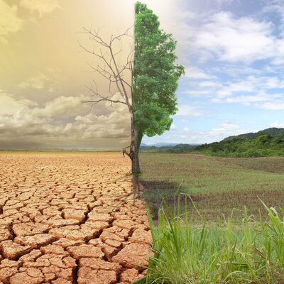 Timeline: Cambio climático efectos sobre la salud