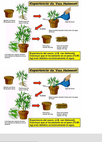 Jan Baptiste Van Helmont (1577-1644)