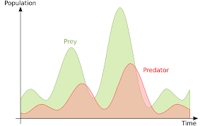 Ecuaciones predador-presa