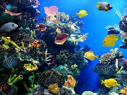 ECOLOGÍA DE COMUNIDADES Y ECOLOGÍA FISIOLÓGICA