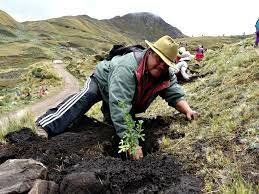 NUEVAS RAMAS DE LA ECOLOGÍA        -El desarrollo de la tecnología moderna y de la creciente influencia de la especie humana en nuestro planeta dio origen a nuevos ámbitos de estudio dentro de la ecología.