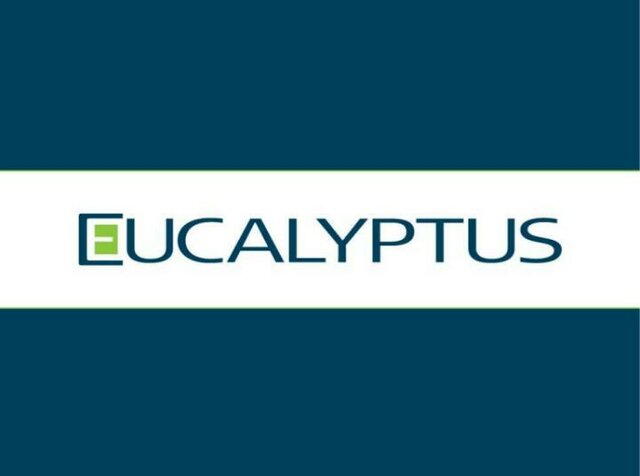 Eucalyptus