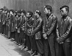 Urban Problems and the Black Panthers
