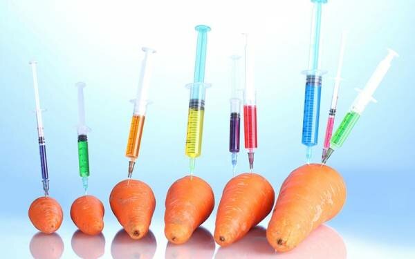 GMO (Genetic Engineering)