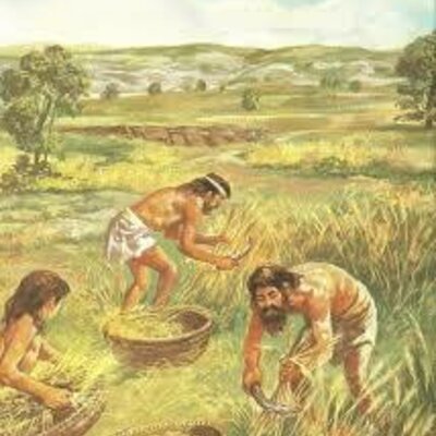 Timeline: Descobriment de l'agricultura