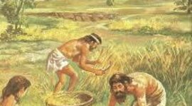 Timeline: Descobriment de l'agricultura