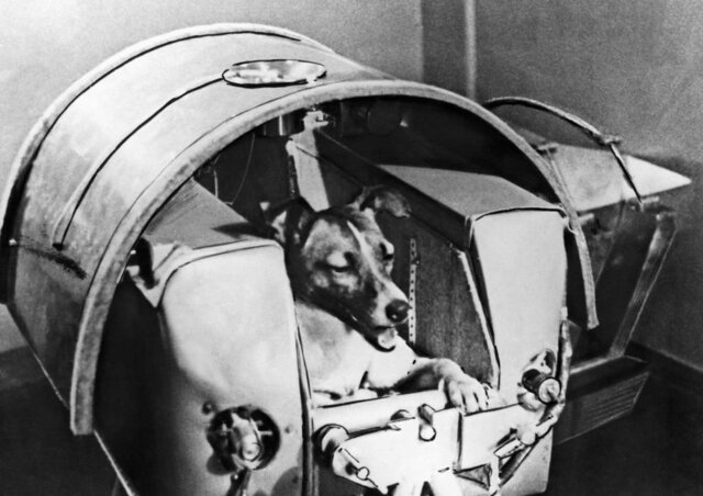Lanzamiento de la perra Laika