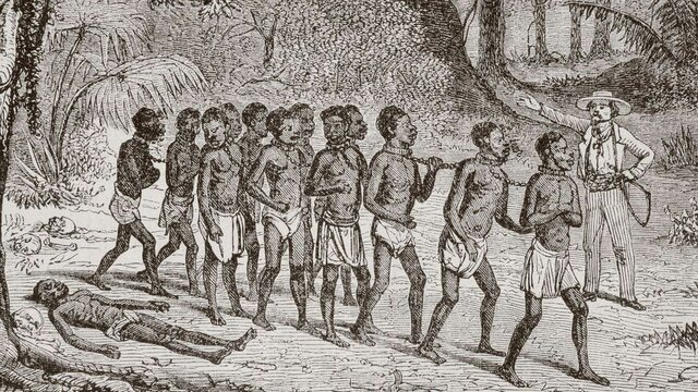 13th Amendment